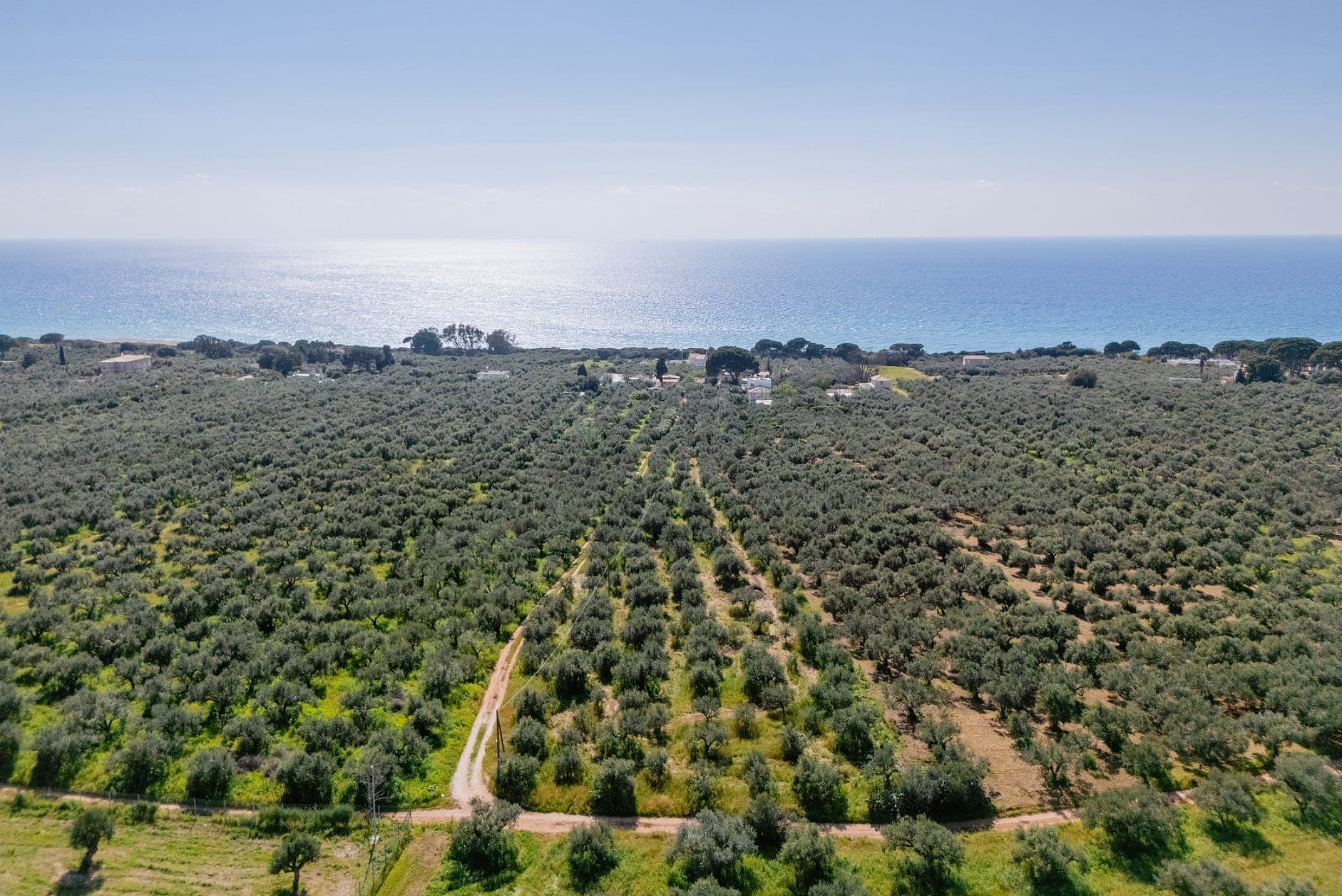 for sale Plot — Messinia, photo 1