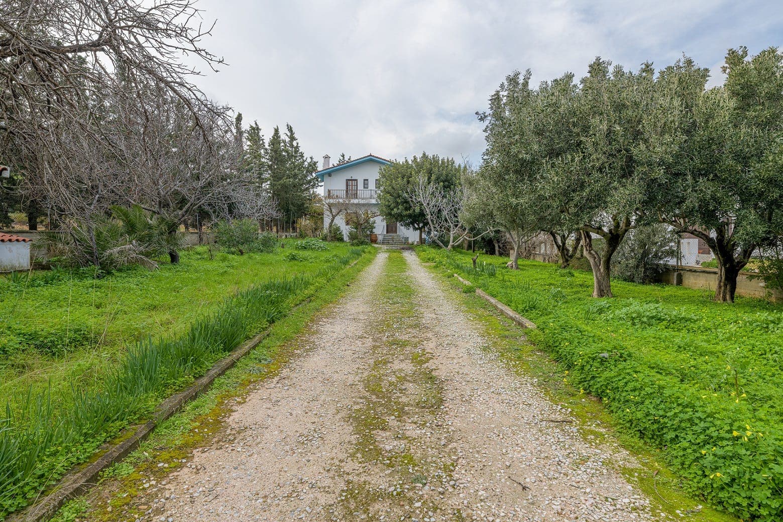 for sale House — Drafi, photo 1